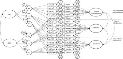 Preliminary Psychometric Validation of the Teammate Burnout Questionnaire